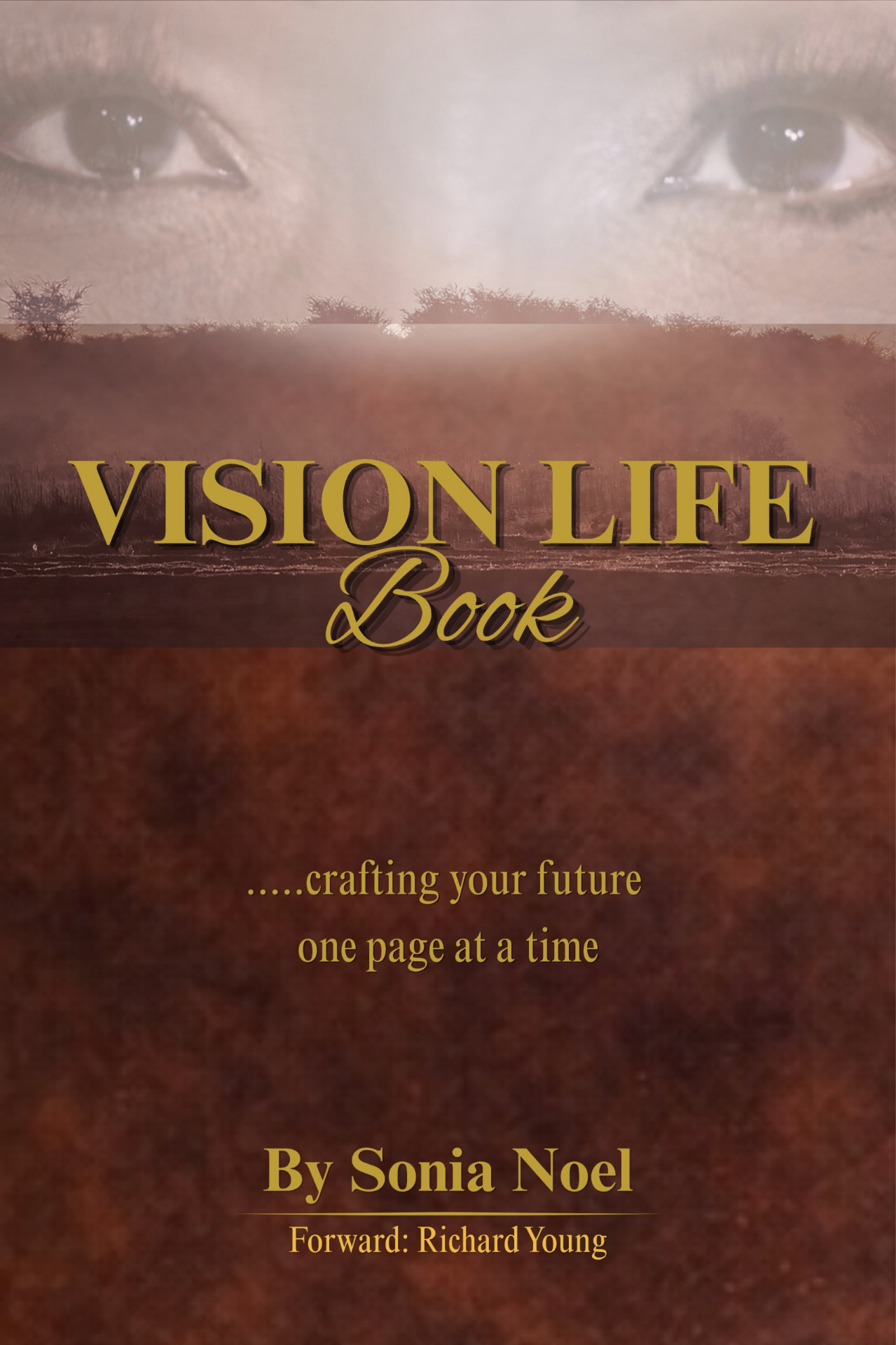 Vision Life Book book cover